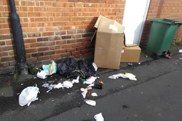 Waste dumped in Rose Street, Millfield.