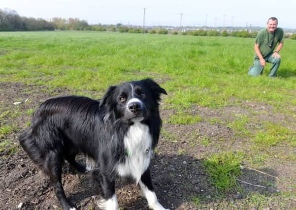 Peter Collins Border Collie Ted found missing Cleadon man George Dodds