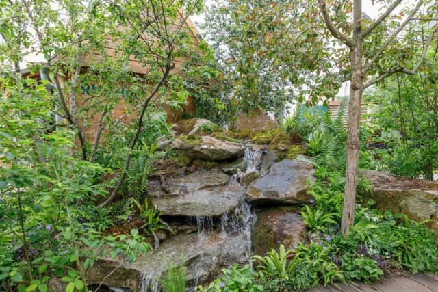 Flowing water forms part of the garden. Picture by RHS/Neil Hepworth