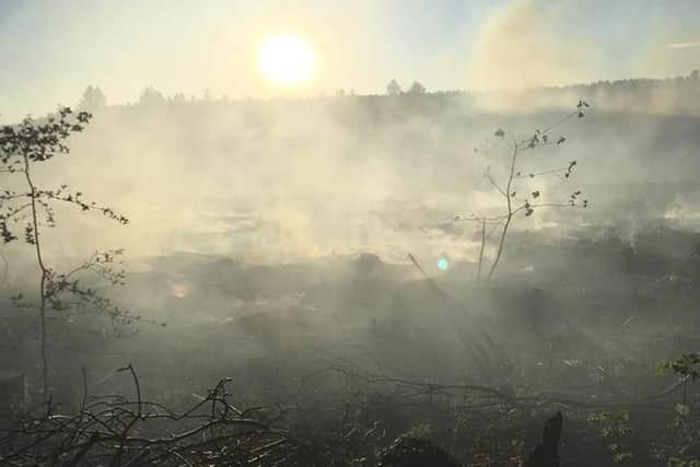 The pictures were taken as firefighters managed to get the wildfire off the A181 under control. Pictures by County Durham and Darlington Fire and Rescue Service