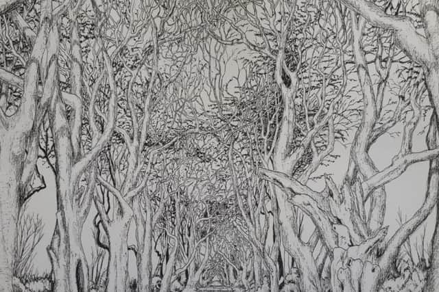 The Dark Hedges, as drawn by Chris Howson.