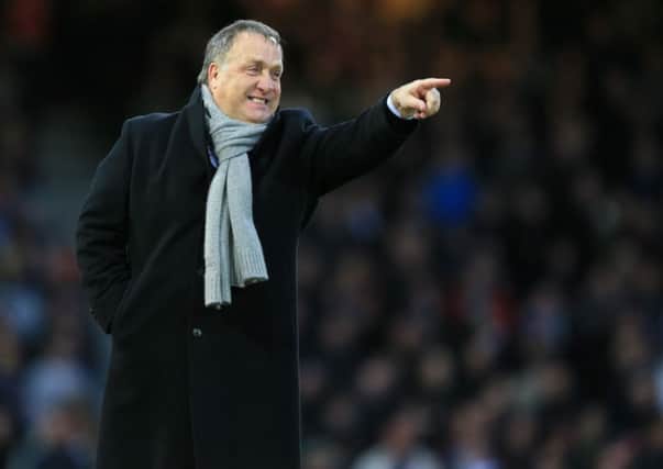 MAKING HIS POINT: Sunderland head coach Dick Advocaat