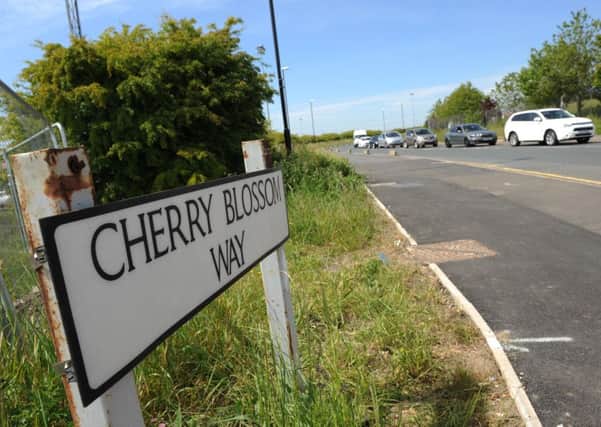 Cherry Blossom Way, the site of the new Amazon unit.