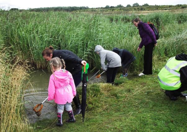 Children enjoying the craft activities and pond dipping at a previous fun day at Elba Park.