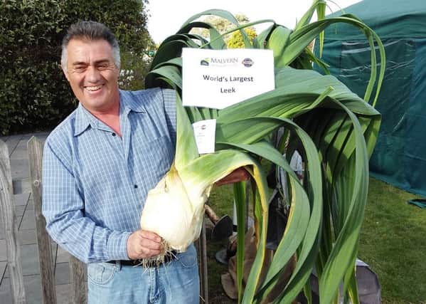 Paul Rochester smashed the world record for the heaviest leek at a show in Malvern. Pictures: The Giant Veg.