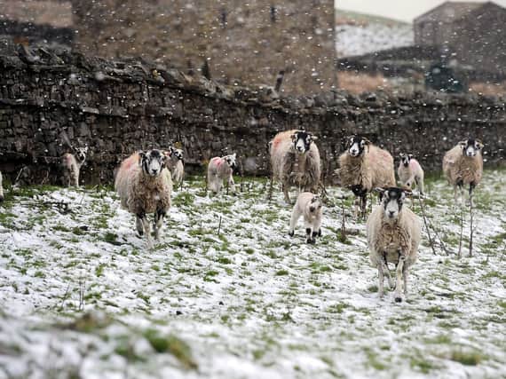 Rain and snow showers are expected to let up in the North East over the weekend, but frost is still expected on the ground. Picture: Press Association.