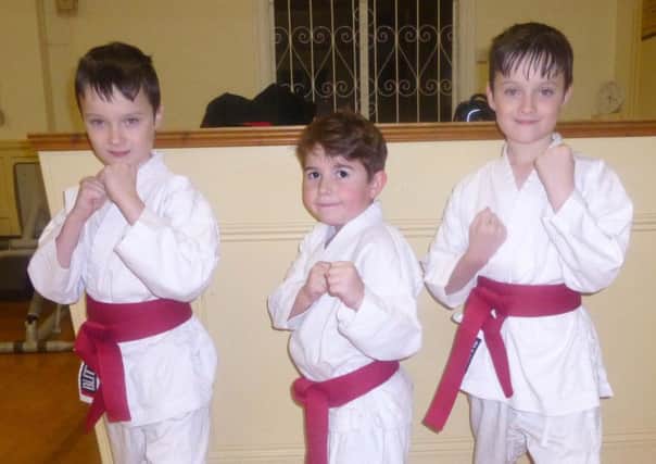 Daniel Collier left , Jonathan Collier right,  and, Jacob Ayre centre, from Ryhope Karate Club, are celebrating their gradings success.