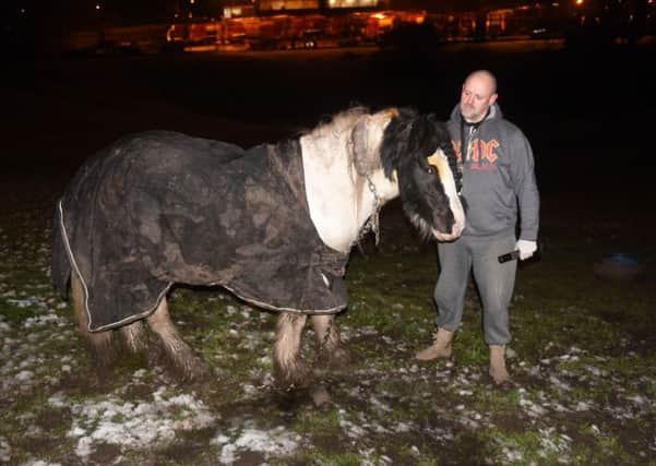 Andrew Laing with his horse Lloyd that had its neck slashed, while on grassland in St Lukes Road, Pennywell, Sunderland