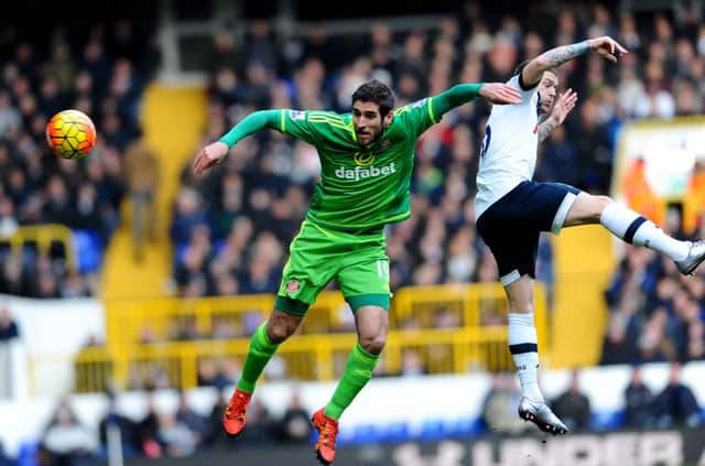 Danny Graham in action against Tottenham Hotspur