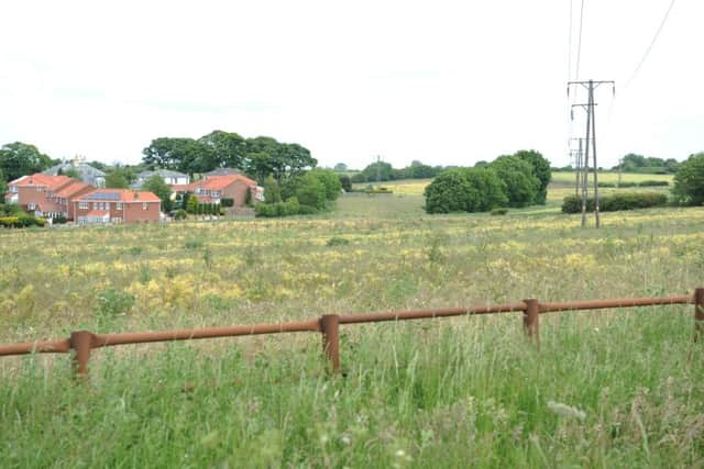 Land between Burdon Road and Nettle Lane, Ryhope, which has been earmarked for housing development. Green Party leader Natalie Bennett is set to meet residents on the site next week.