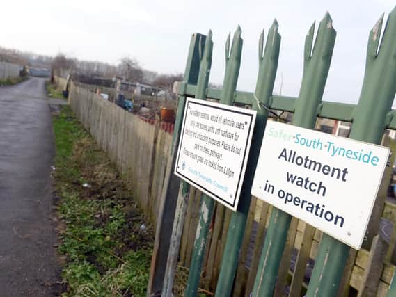 A homeless man has been banned after threatning to kill woman at allotments in Boldon