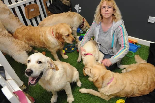 Dog breeder Lyn Skee and dog Lexi reunited with some of her ten puppies.