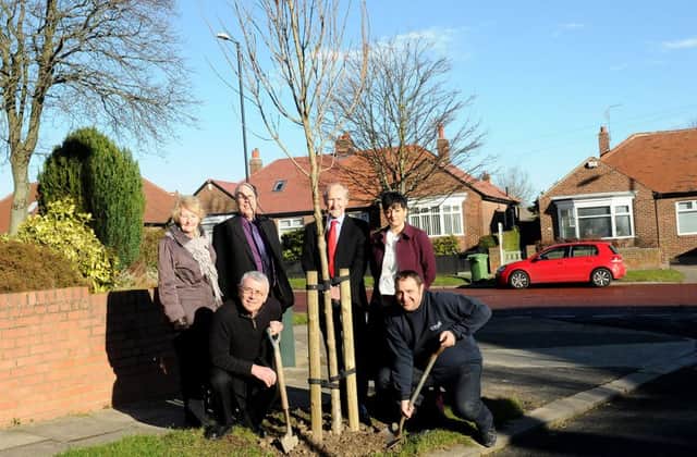 Michael Fascia (Sunderland City Council) (front left) and Peter Wood (councillor), with (rear left to right) Barry Watson (resident), Marcia Balmer (resident), Michael Dixon (councillor) and Nicky Rowland (Sunderland City Council) as they plant one of the new trees. Picture by FRANK REID