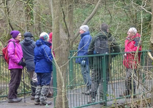 There are now three levels of walks at Castle Eden Dene.