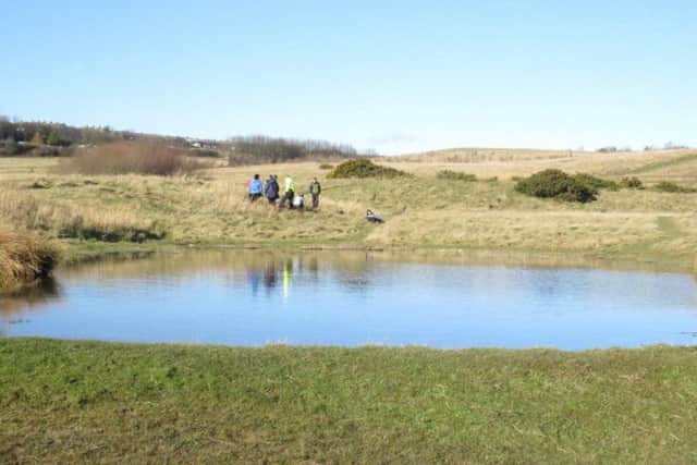 Durham Heritage Coast is working at Easington Colliery local nature reserve.