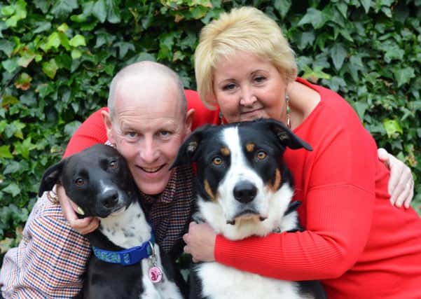 Mel and Clare Dixon are to renew their wedding vows with dogs Nettie and Oscar (R)