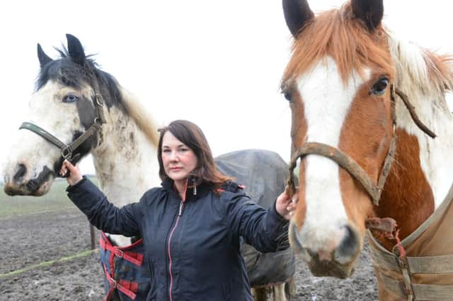 Gill Wilson is angry over flytipping around Seaton. 
Horses Bailey and Charlie