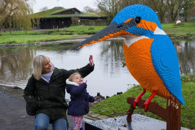 Visitors to one of the WWTs sites meets a kingfisher constructed as part of its Lego project.