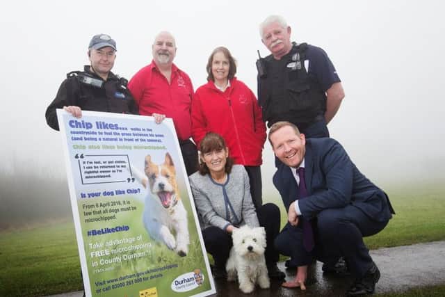 Devon with with owner Marie Burns and staff from Durham County Council and Stray Aid.