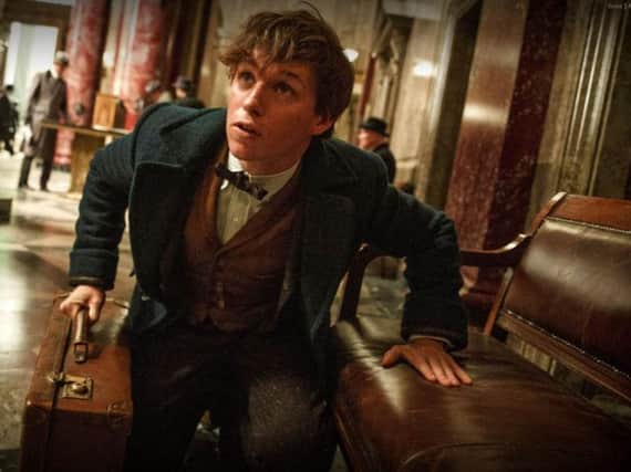 Eddie Redmayne as Newt Scamander in Fantastic Beasts and Where To Find Them.