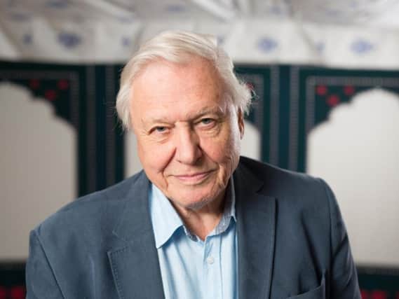 Sir David Attenborough will turn 90 on May 8.