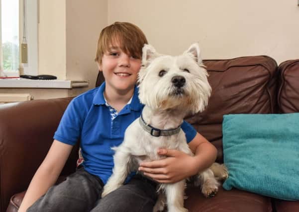 Will Talbot (11) of Rhoda Terrace, Grangetown, Sunderland, who is appearing on CBBCÃ¢Â¬"s Junior Vets On Call, pictured with his dog Eric.