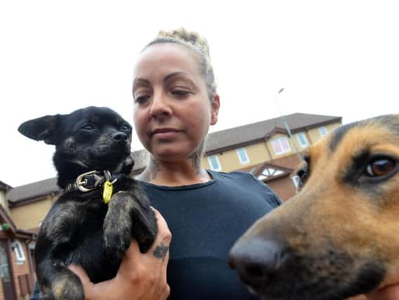 Stephanie Saleh, reunited with her two dogs.