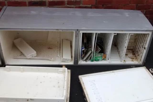 The freezer in which the kittens were dumped.