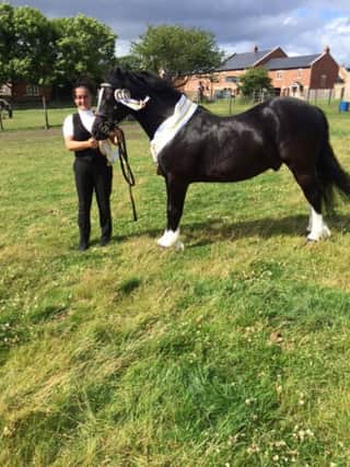 At the Crowgarth Pony Gymkhana in the field on Hylton Lane in West Boldon, Erin Philips on Megland Little Madam was awarded Supreme Champion.
