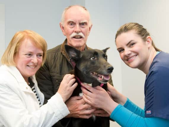 Parents-in-law of Liz Dunn, Ian and Linda Dunn from Glebe, Washington, with Tilly and Westway vet Kate Pounder.