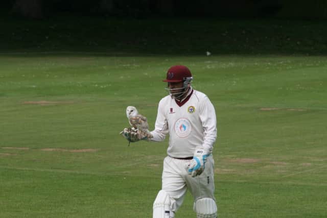 Peter McGlasham snapped these pictures when an owl invaded the pitch at the Castle Eden 1st XI v Seaham Park 1st XI cricket game on Saturday.