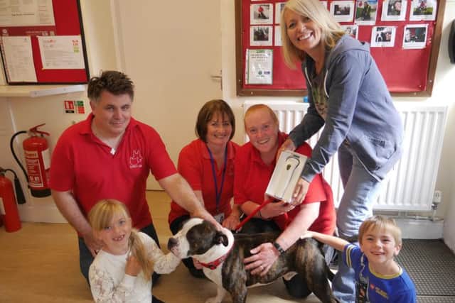 Tracey Hilder and her children hand over the light therapy machine to the volunteers at Stray Aid dog kennels.