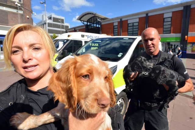 New police puppies launch to find names.
Dog handlers Sgt Julie Neve and PC Steve Henry