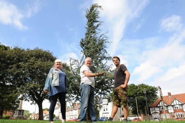 Ryhope Village's living Christmas Tree is admired by committee members Cris Hope, Ron Hope and Chris Laverick.