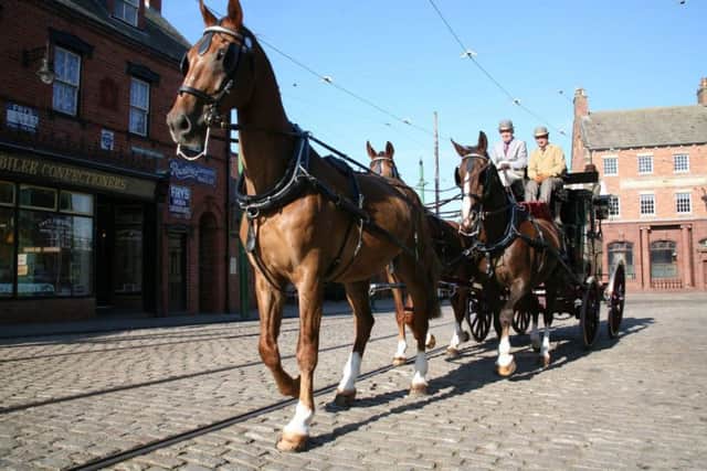 Justin, pictured on the right, pulling a carriage through the town centre of Beamish Museum.