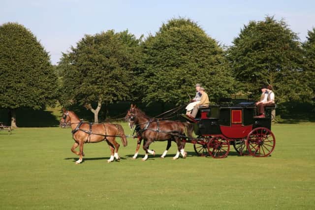 A carriage is pulled by Justin, seen in the centre.