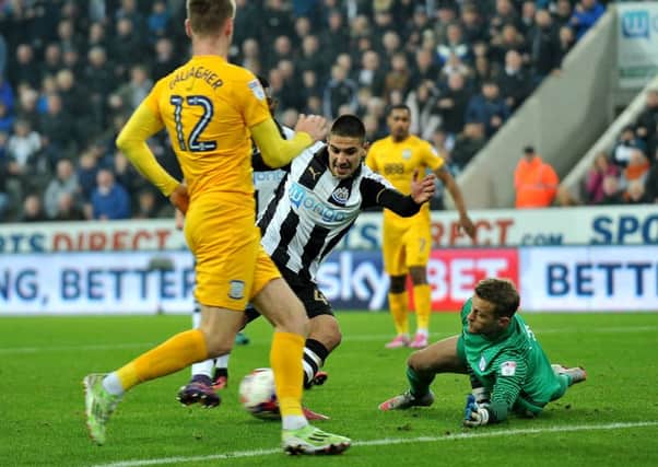 Aleksandar Mitrovic fires home his second goal in Newcastle's 6-0 victory over Preston. Picture by Frank Reid