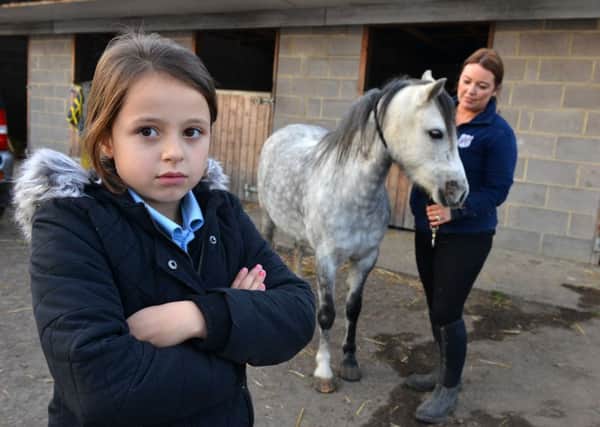 Youngster Lexie Ramshaw aged 8 pony Rose was attacked by dogs.
Family stable friend Claire Whitfield