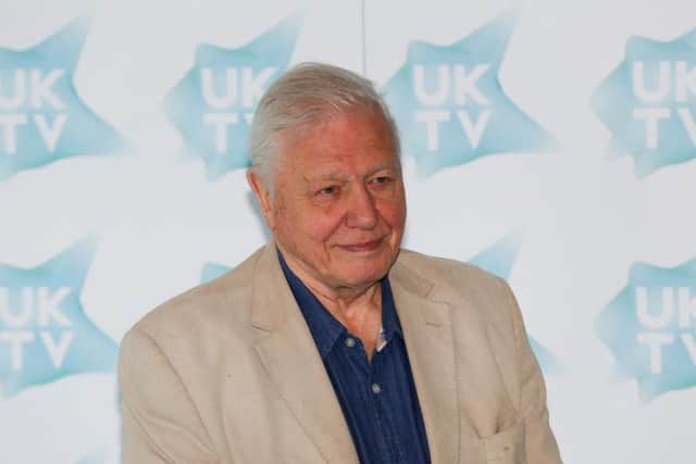Sir David Attenborough joked that shooting Donald Trump could be best way to stop the Republican candidate