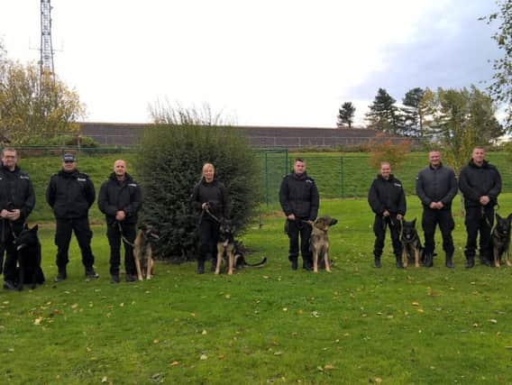The dogs will be getting to work with Northumbria Police.