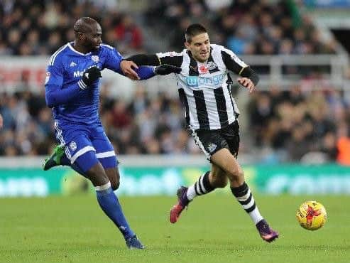 Cardiff's Sol Bamba tussles with Aleksandar Mitrovic.