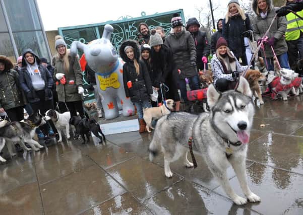 Dog walkers set off from Mowbray Park on the Great North Snowdog dog walk, raising money for St Oswald's Hospice.