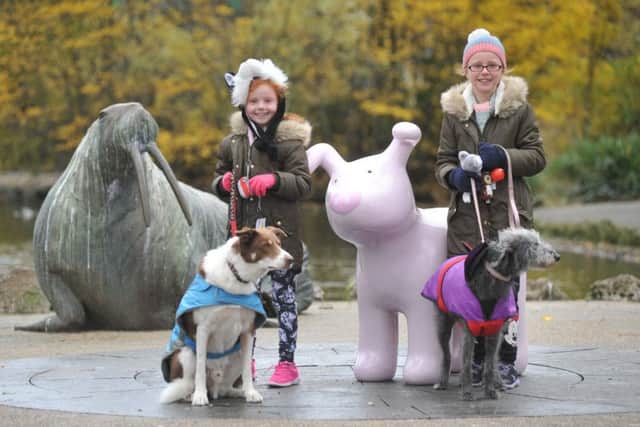 Dog walking sisters Grace and Lily Avery with dogs Rex and Bella, set off from Mowbray Park on the Great North Snowdog dog walk, raising money for St Oswald's Hospice.