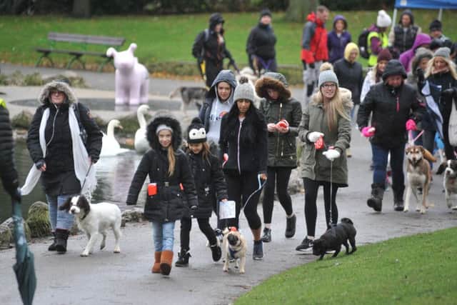 Dog walkers set off from Mowbray Park on the Great North Snowdog dog walk, raising money for St Oswald's Hospice.
