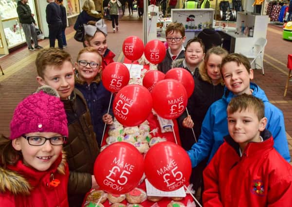 Pupils from Shotton Hall Primary School, Peterlee, at their stall in the town's Castle Dene Shopping Centre, taking part in the school's Make Â£5 Grow scheme, on Tuesday