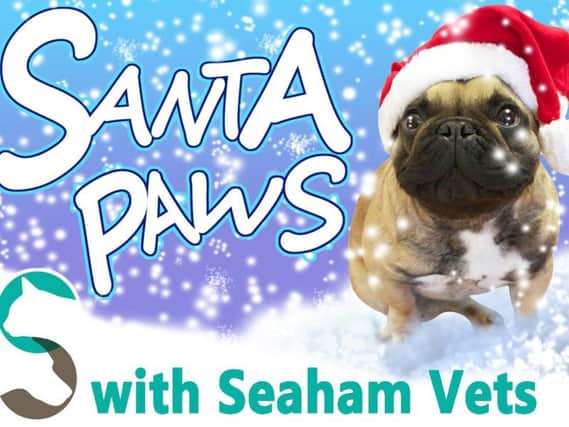 This year, Santa Paws is running in partnership with Seaham Vets.