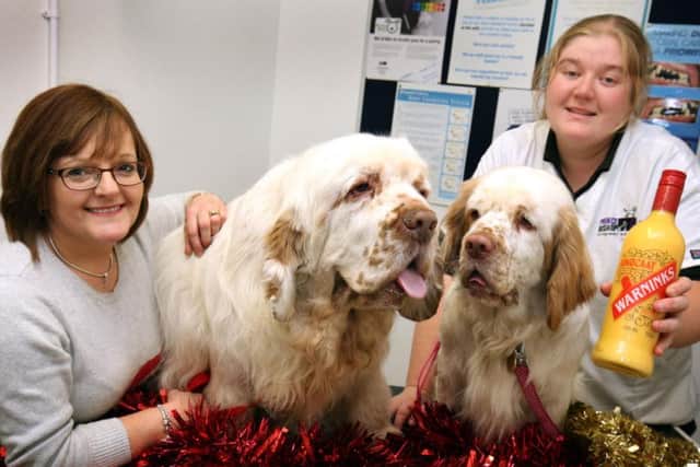 Fiona Robson with her dogs Oscar and Martha and vet Dr Emma Hindson.