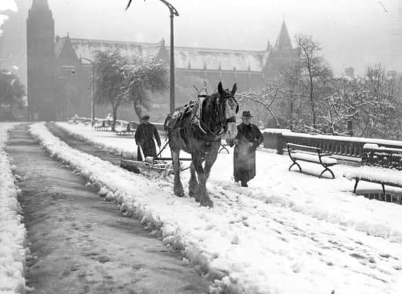 Horses were used to clear the snow in Mowbray Park in 1941.