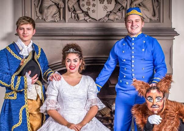 L to R:  Karl Herbert as Prince Charming, Emma Scott as Cinderella, Joe Coulson as Buttons, and Adam Donald as Stottie the cat