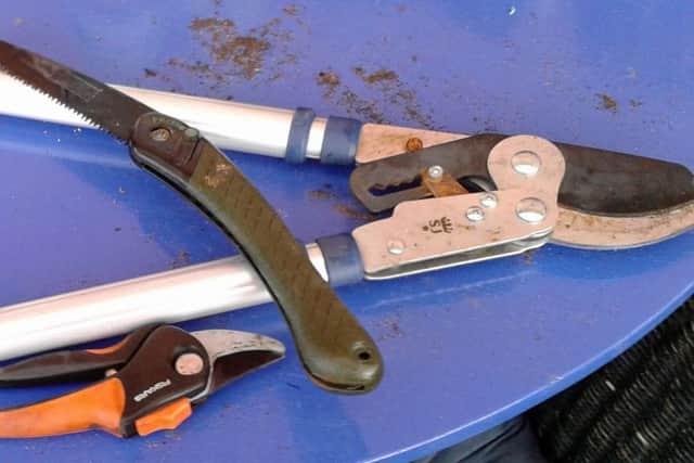 Sharp secateurs, loppers and a pruning saw.